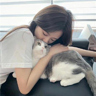 有毛冇翼飞天猪